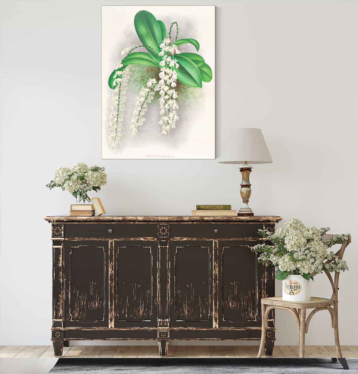 Angraecum Citratum by Jean Jules Linden