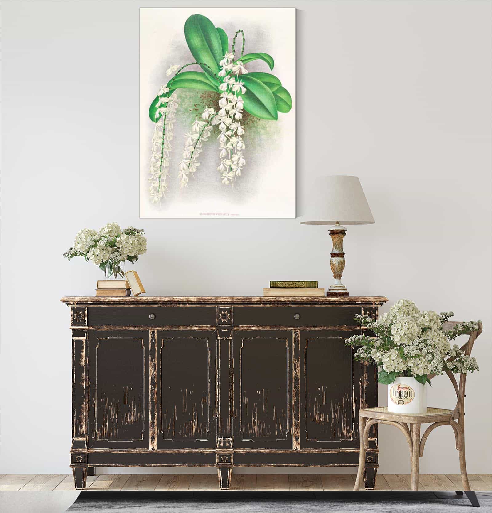 Angraecum Citratum by Jean Jules Linden