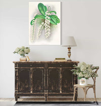 Angraecum Citratum by Jean Jules Linden