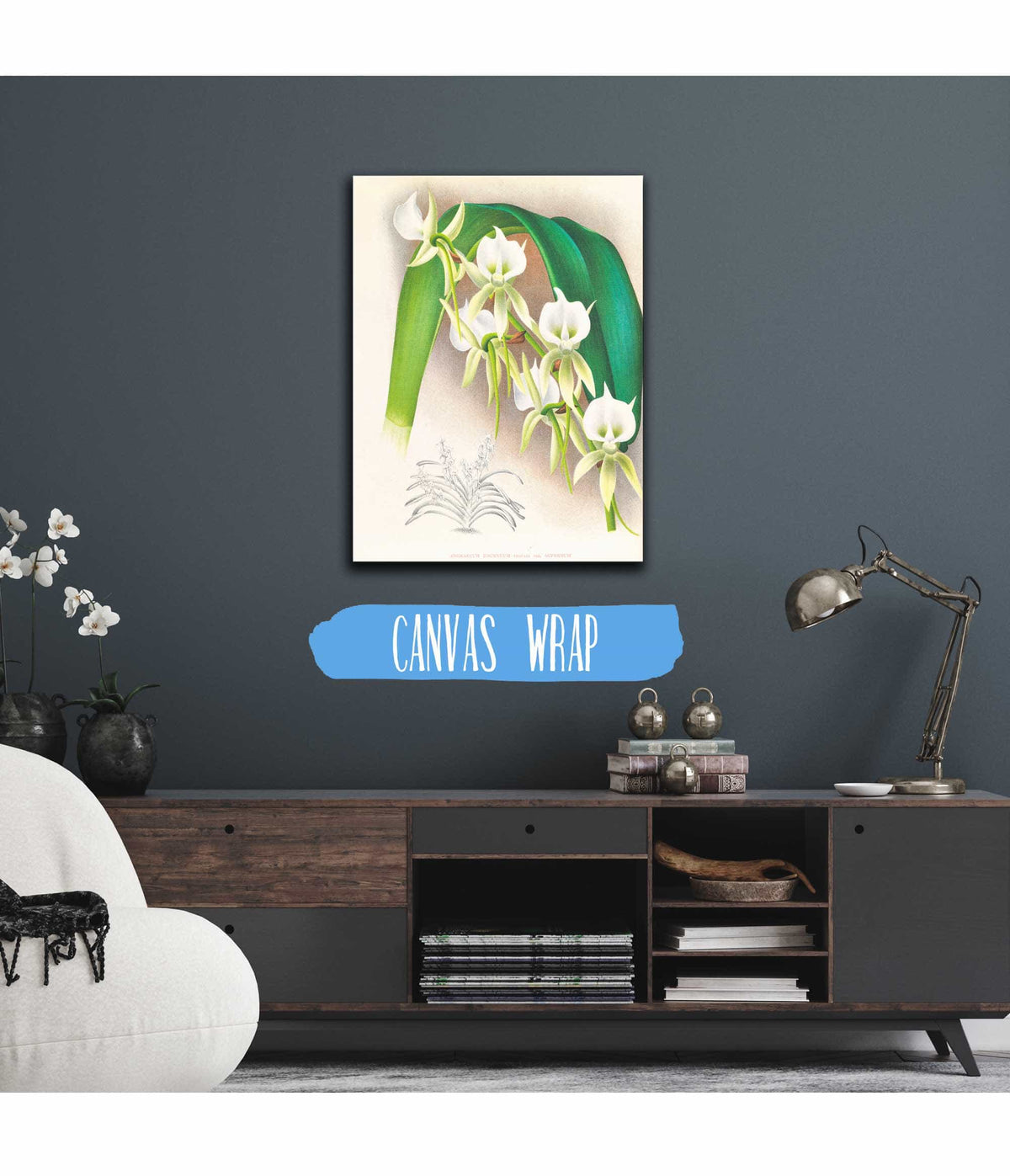 Angraecum Eburneum Var Superbum by Jean Jules Linden