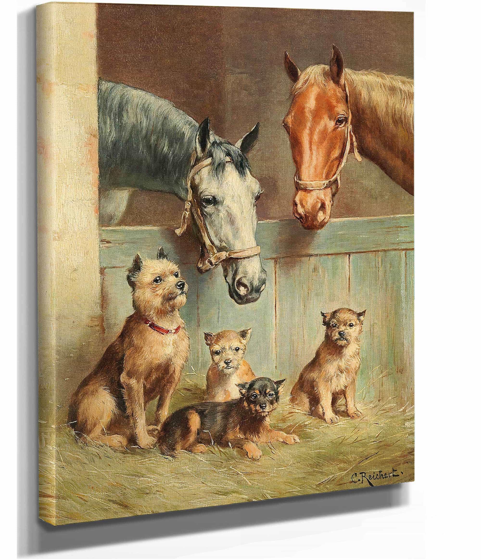 Animal Friendship by Carl Reichert