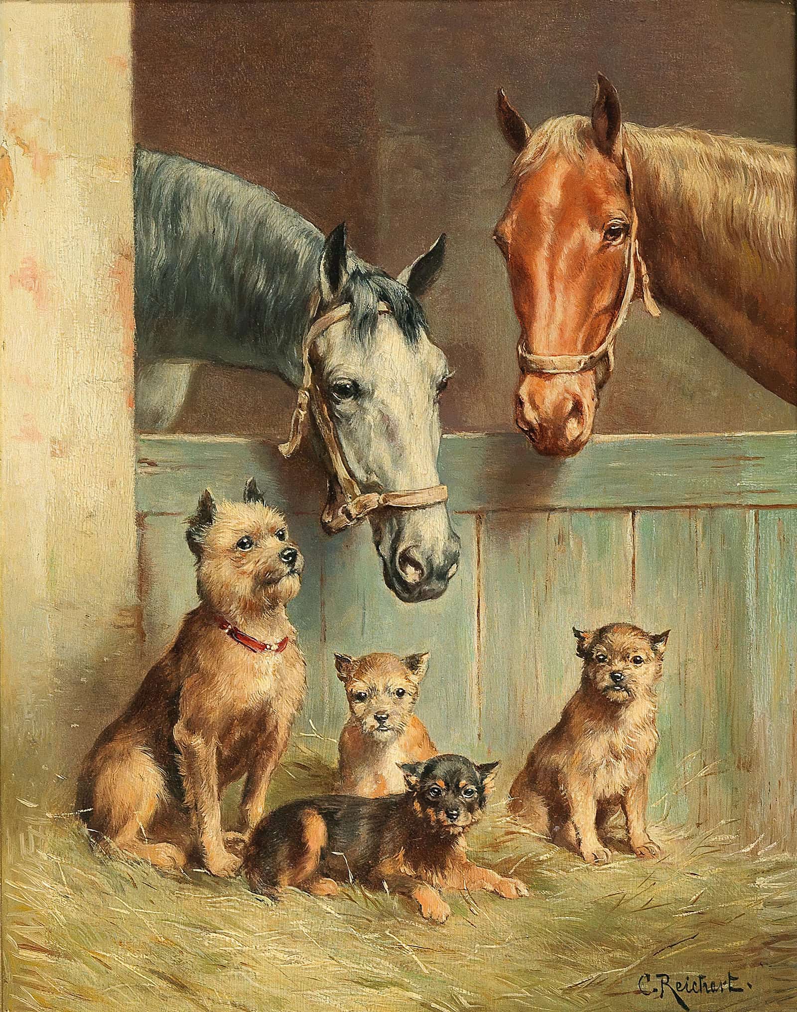 Animal Friendship by Carl Reichert