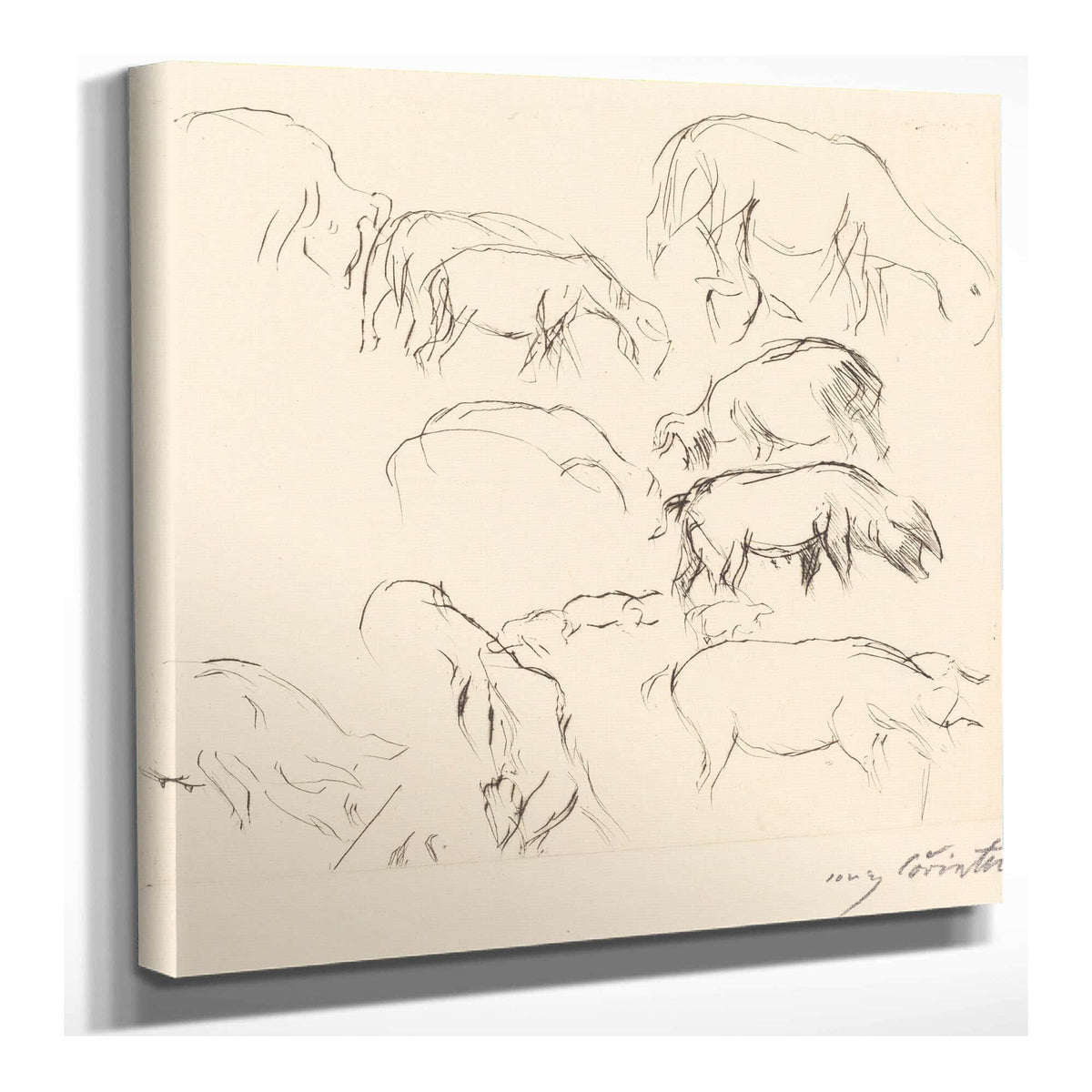 Animal Studies Verschiedene Tierstudien by Lovis Corinth