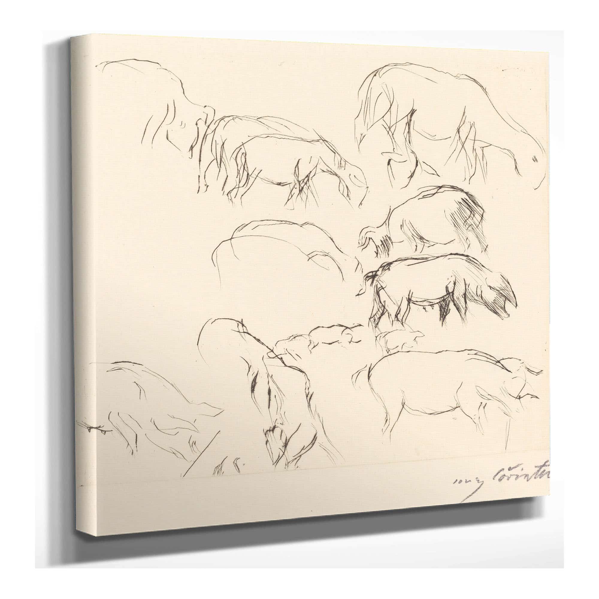 Animal Studies Verschiedene Tierstudien by Lovis Corinth