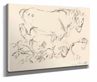 Animal Studies Verschiedene Tierstudien by Lovis Corinth