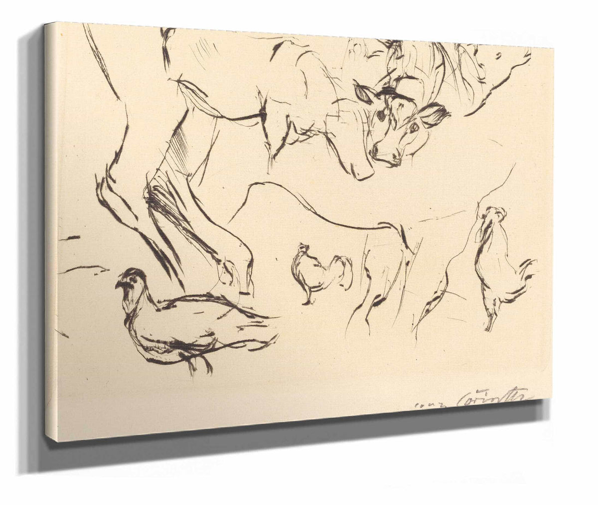 Animal Studies Verschiedene Tierstudien by Lovis Corinth