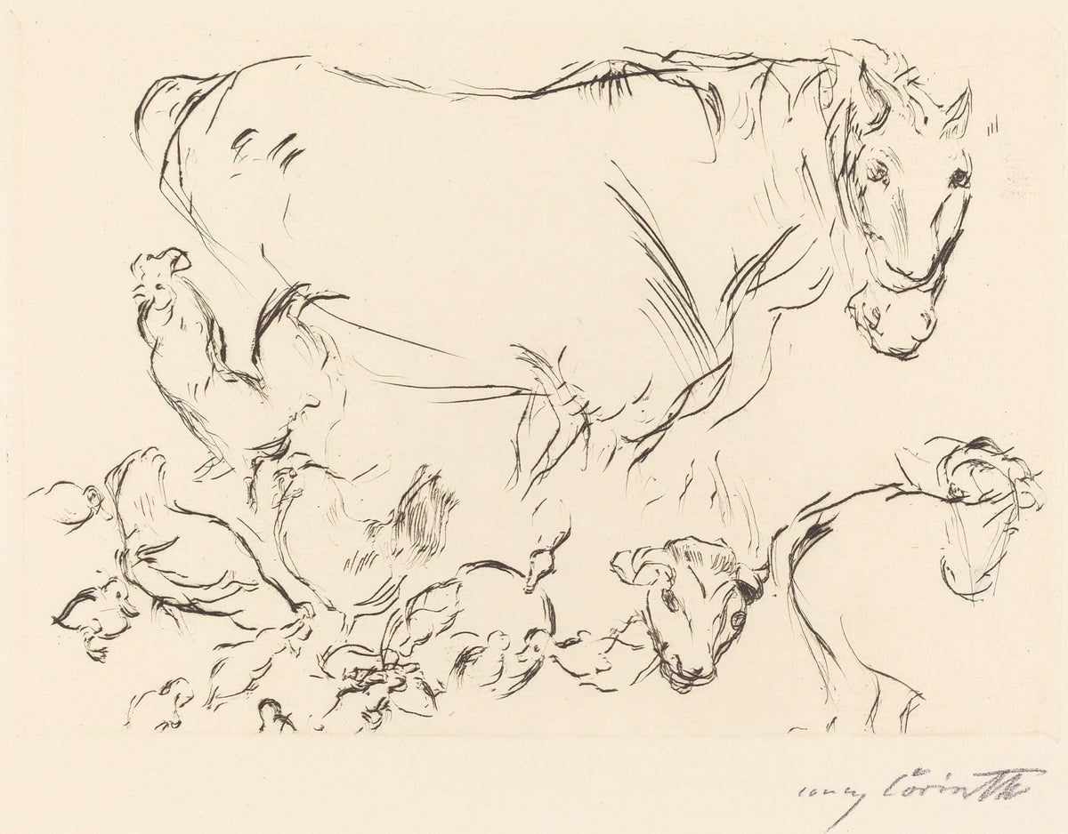 Animal Studies Verschiedene Tierstudien by Lovis Corinth
