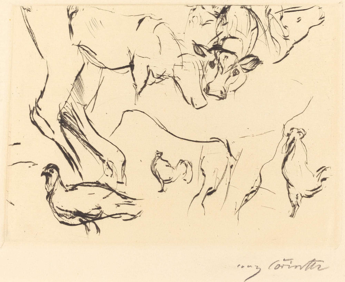 Animal Studies Verschiedene Tierstudien by Lovis Corinth