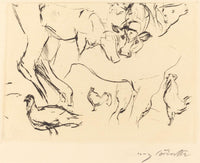 Animal Studies Verschiedene Tierstudien by Lovis Corinth