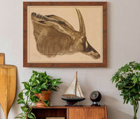 Antilope Hippotrague by Alexander Evgenievich Yakovlev