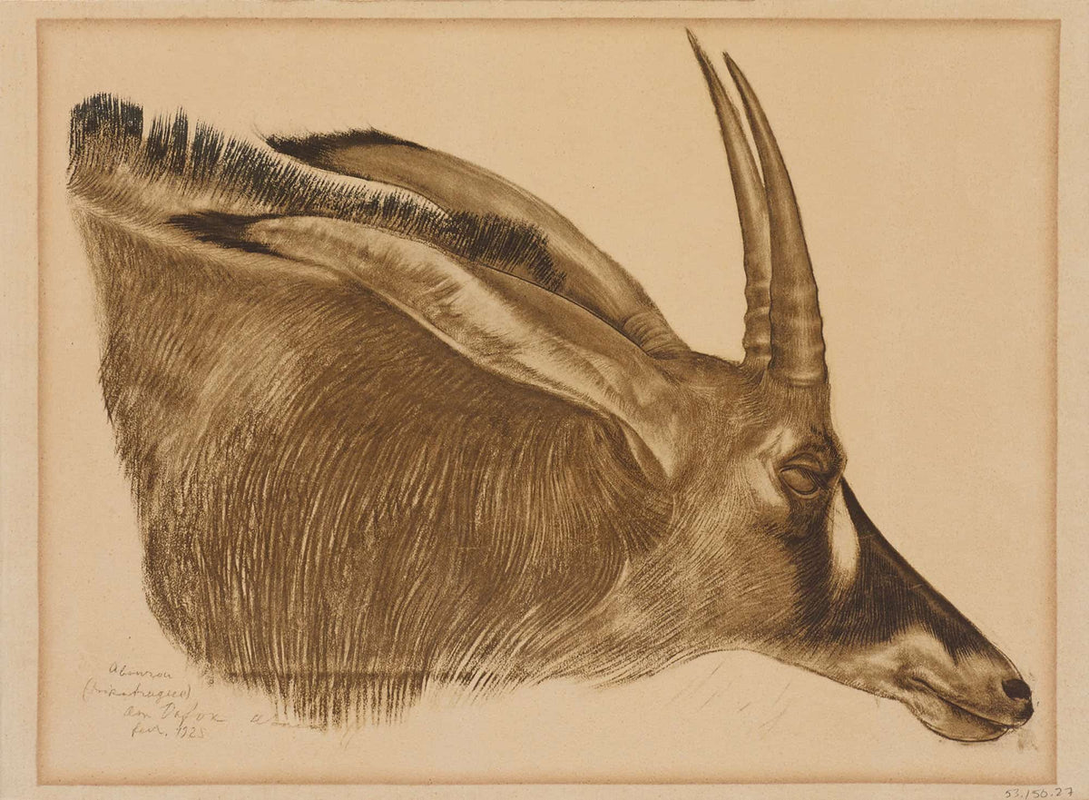 Antilope Hippotrague by Alexander Evgenievich Yakovlev