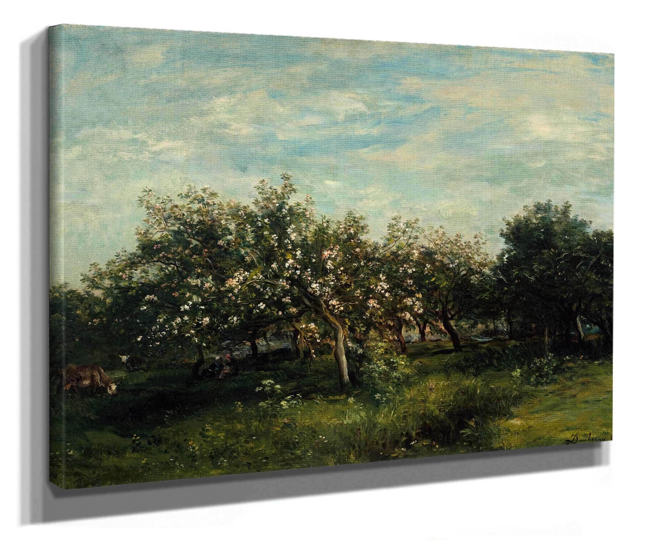 Apple Blossoms by Charles Francois Daubigny