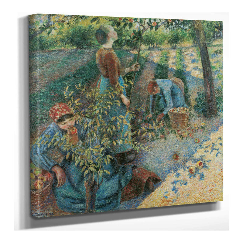 Apple Picking by Camille Pissarro