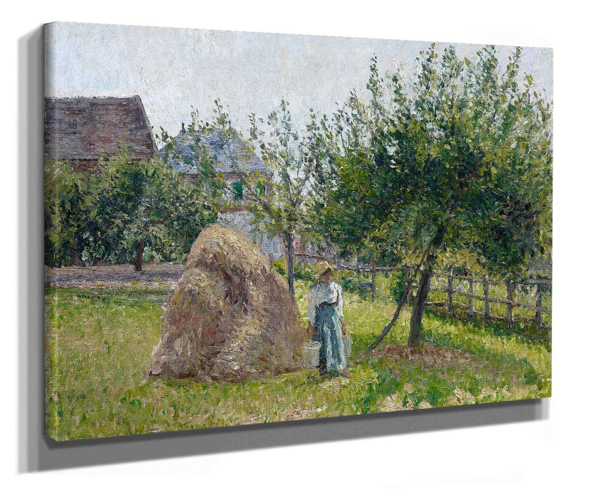 Apple Trees In Eragny Sunny Morning by Camille Pissarro