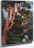 Arbutus Tree 1922 By Emily Carr
