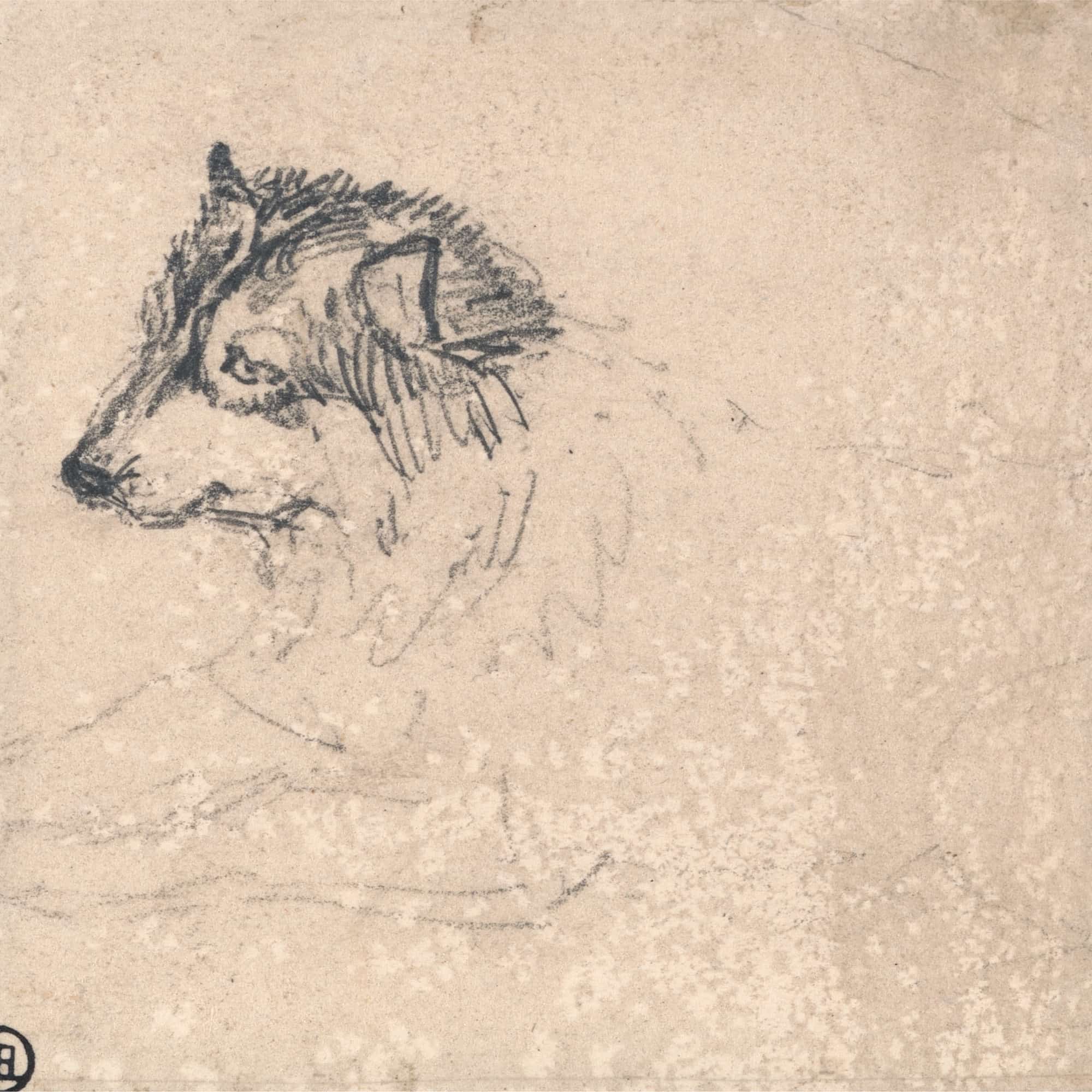 Arctic Dog Facing Left by James Ward