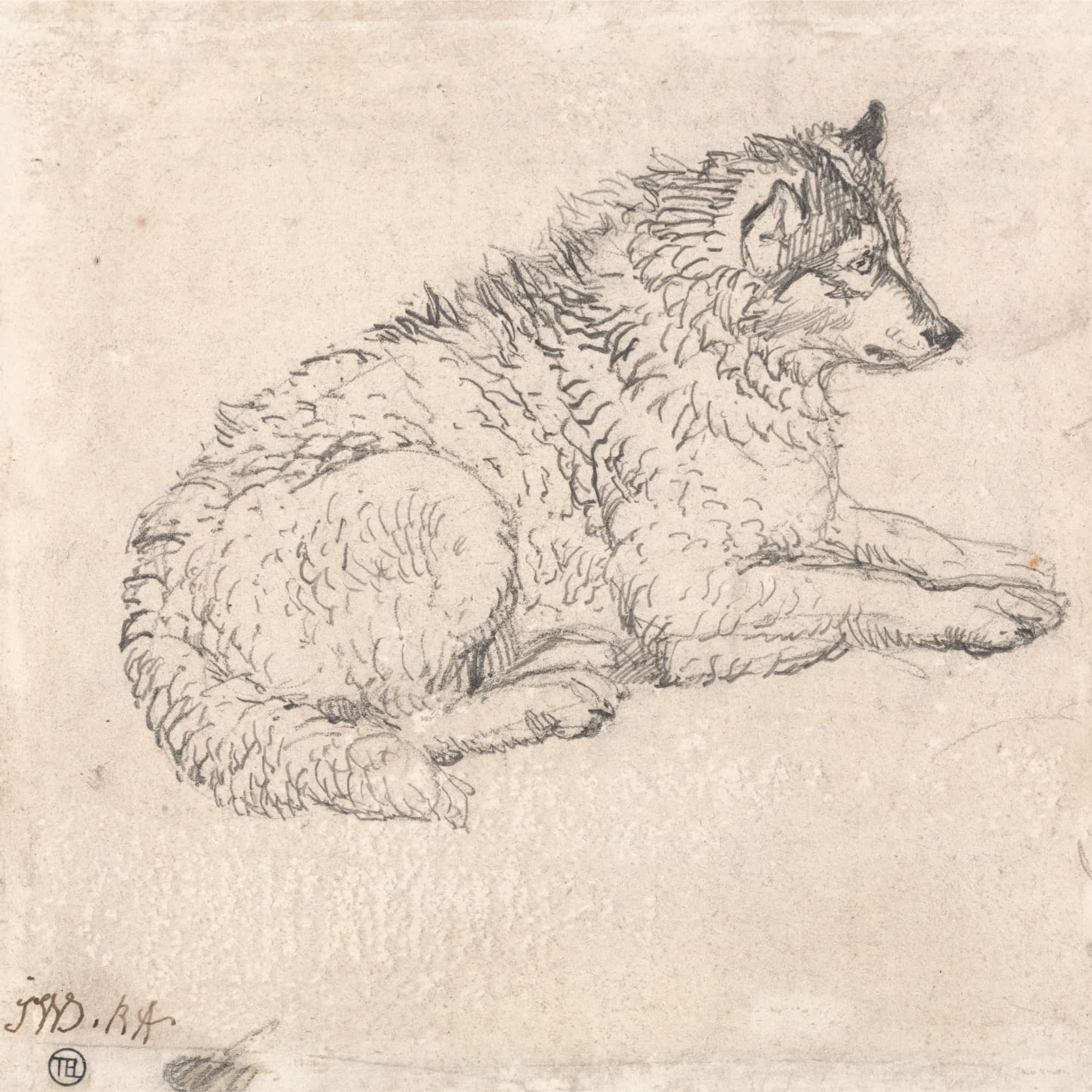Arctic Dog Facing Right by James Ward