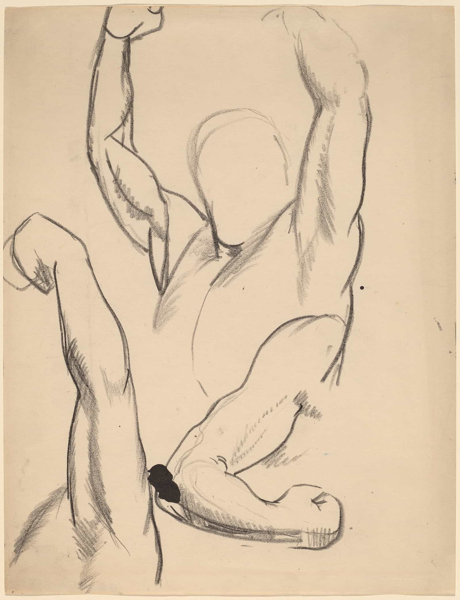 Arms Of A Boxer by George Wesley Bellows