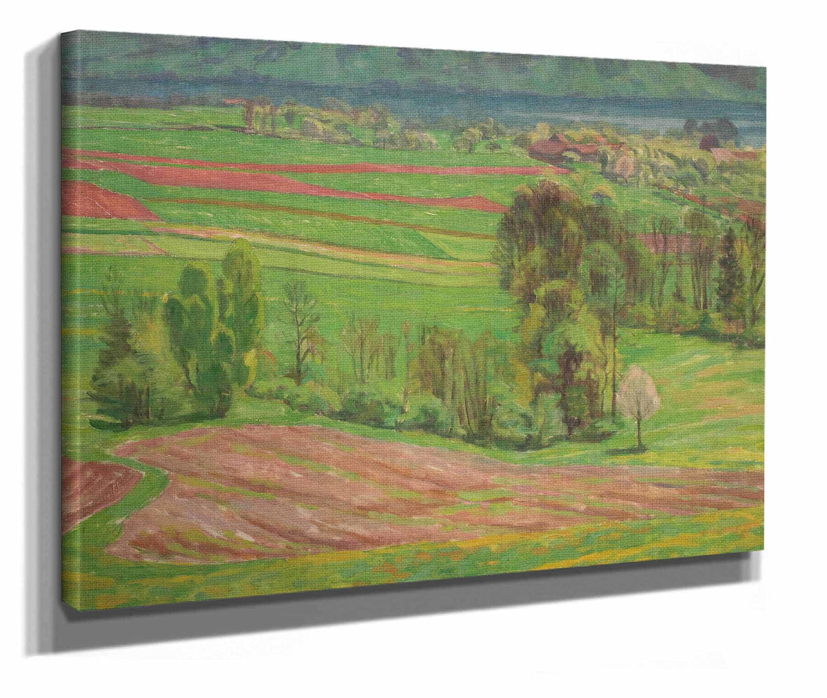 Atterseelandschaft Im Fruhling by Walther Gamerith