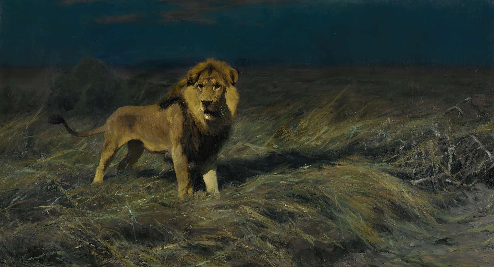 Auf Der Suche Nach Beute In Search Of Prey by Wilhelm Kuhnert