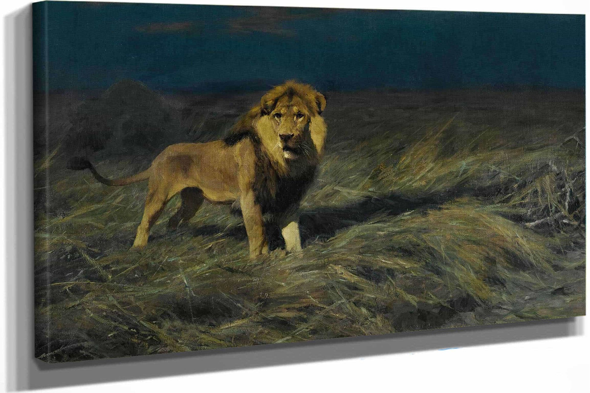 Auf Der Suche Nach Beute In Search Of Prey by Wilhelm Kuhnert