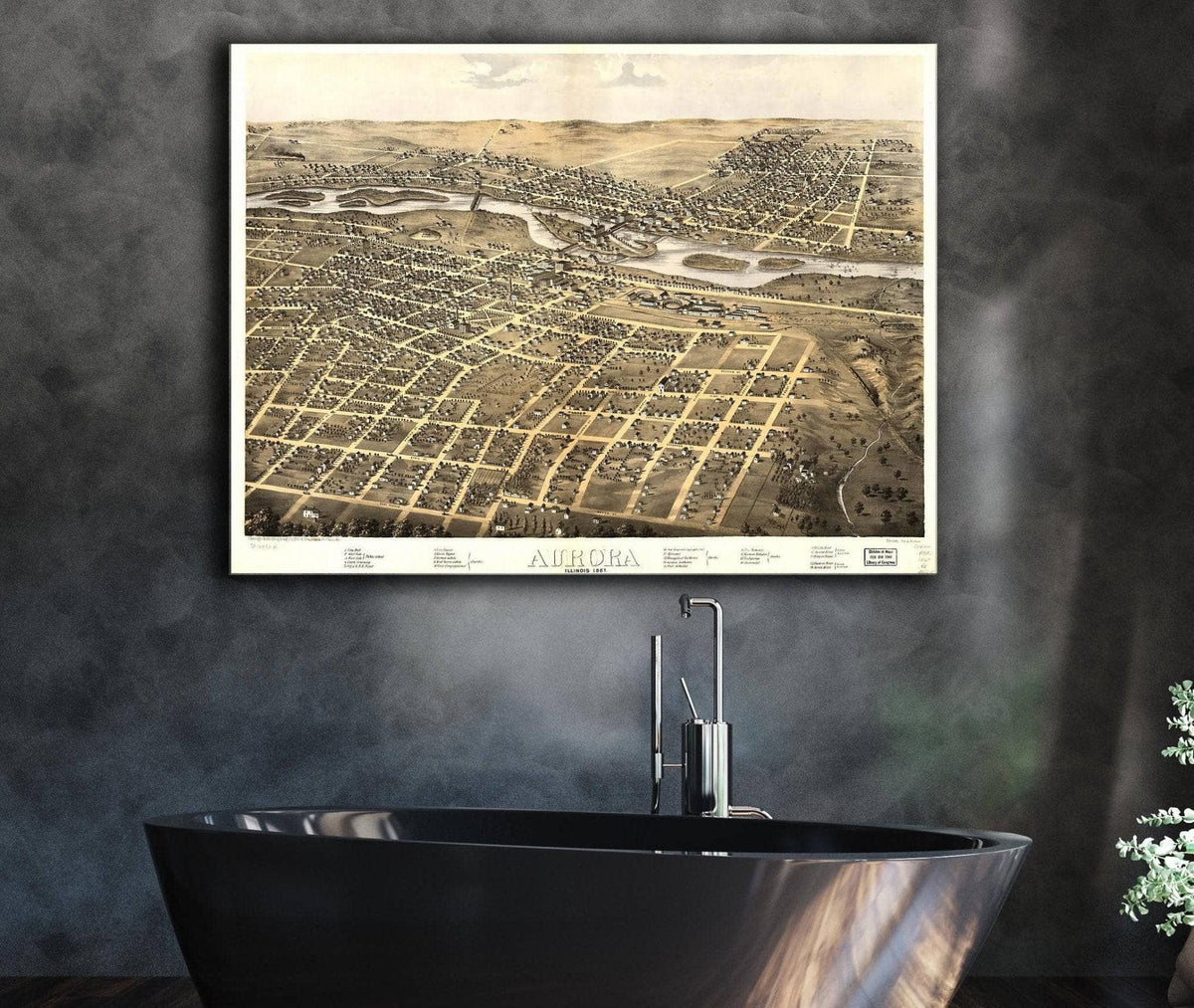 Aurora Illinois 1867 State of Illinois