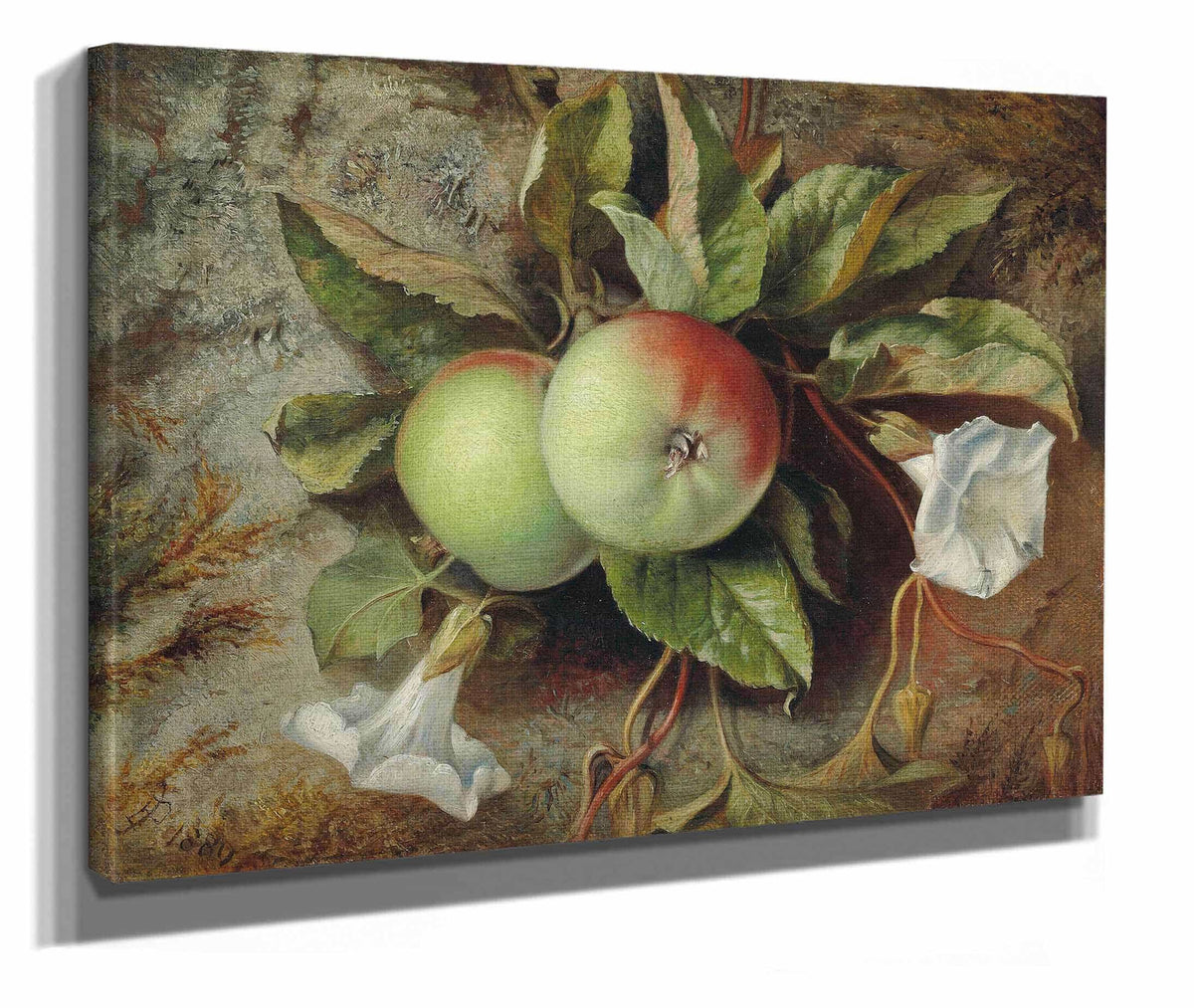 Autumn Apples And Convolvulus by Edward John Poynter