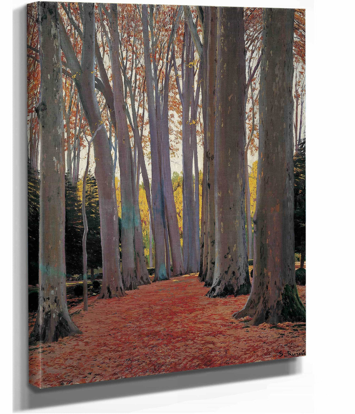 Avenue Of Plane Trees by Santiago Rusinol
