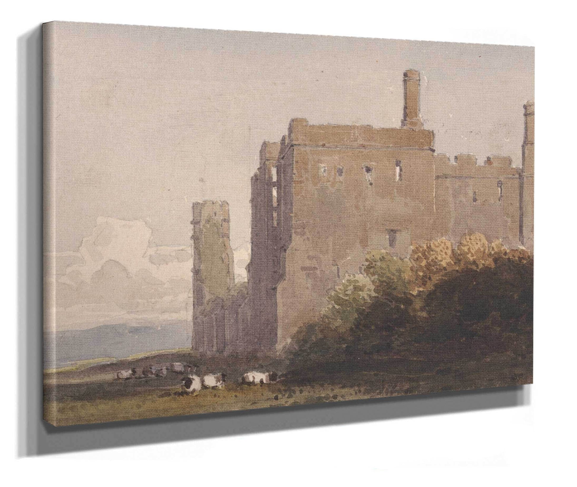 Battle Abbey Sussex by David Cox