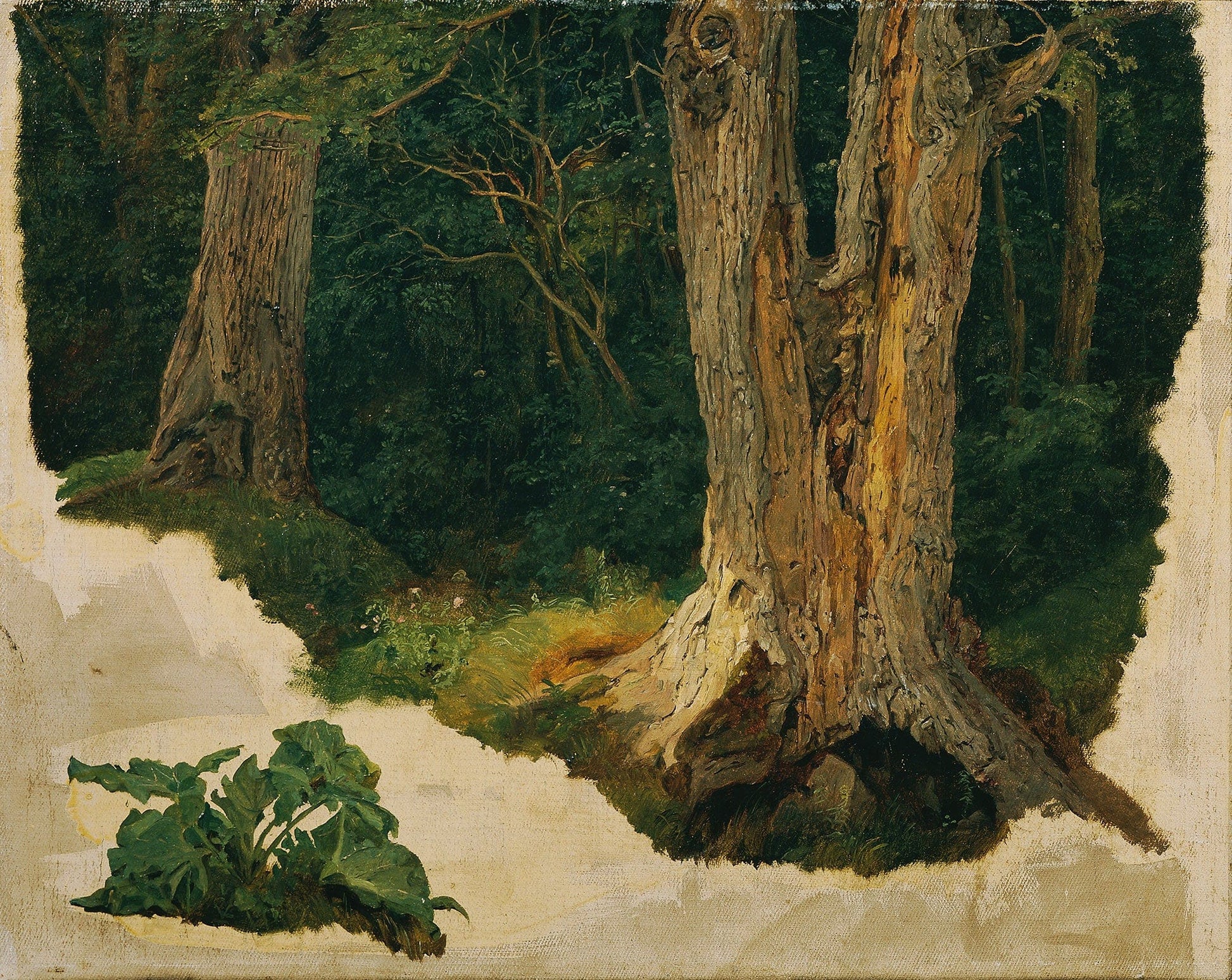 Baumstudie Before by Ferdinand Georg Waldmuller