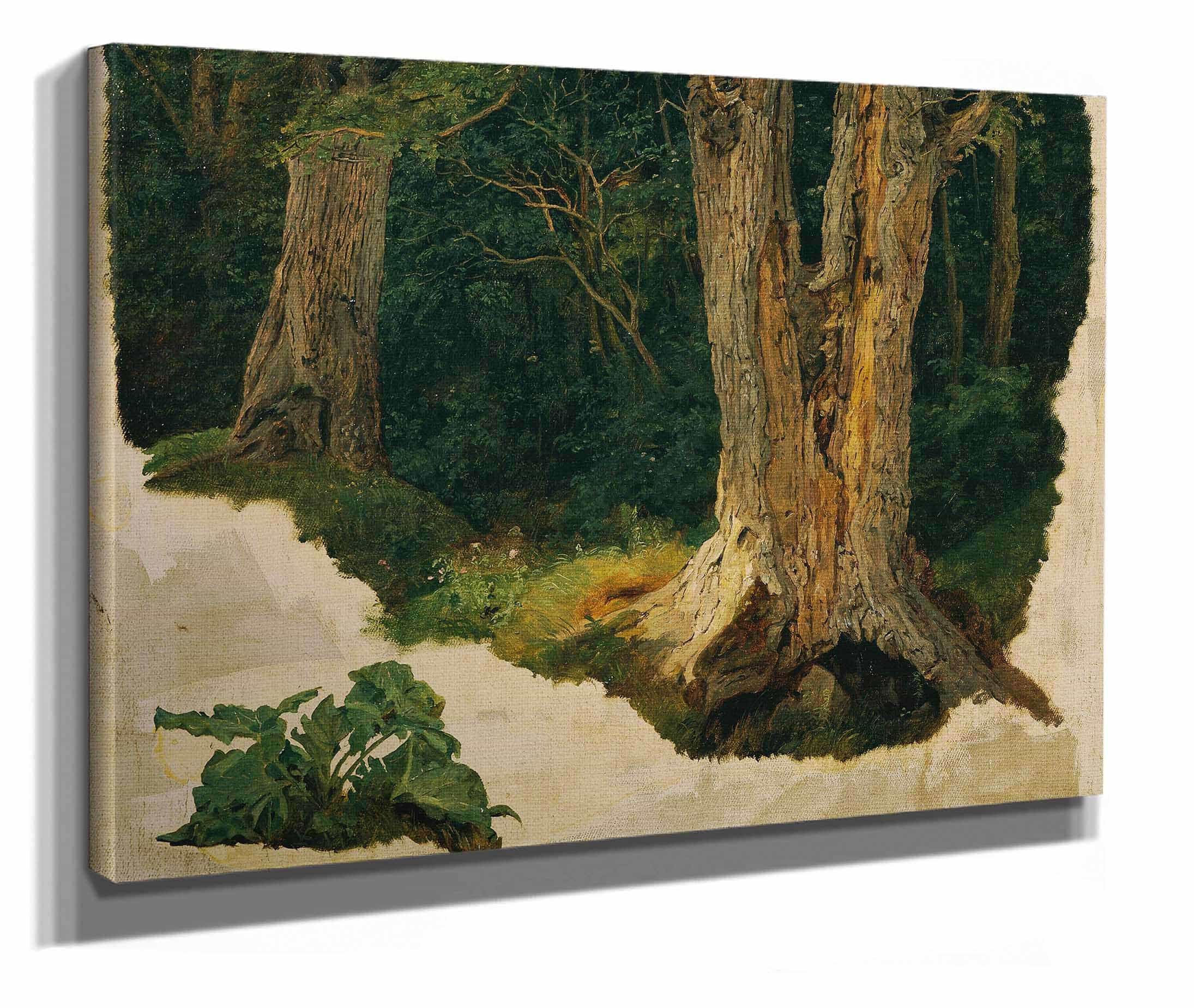 Baumstudie Before by Ferdinand Georg Waldmuller