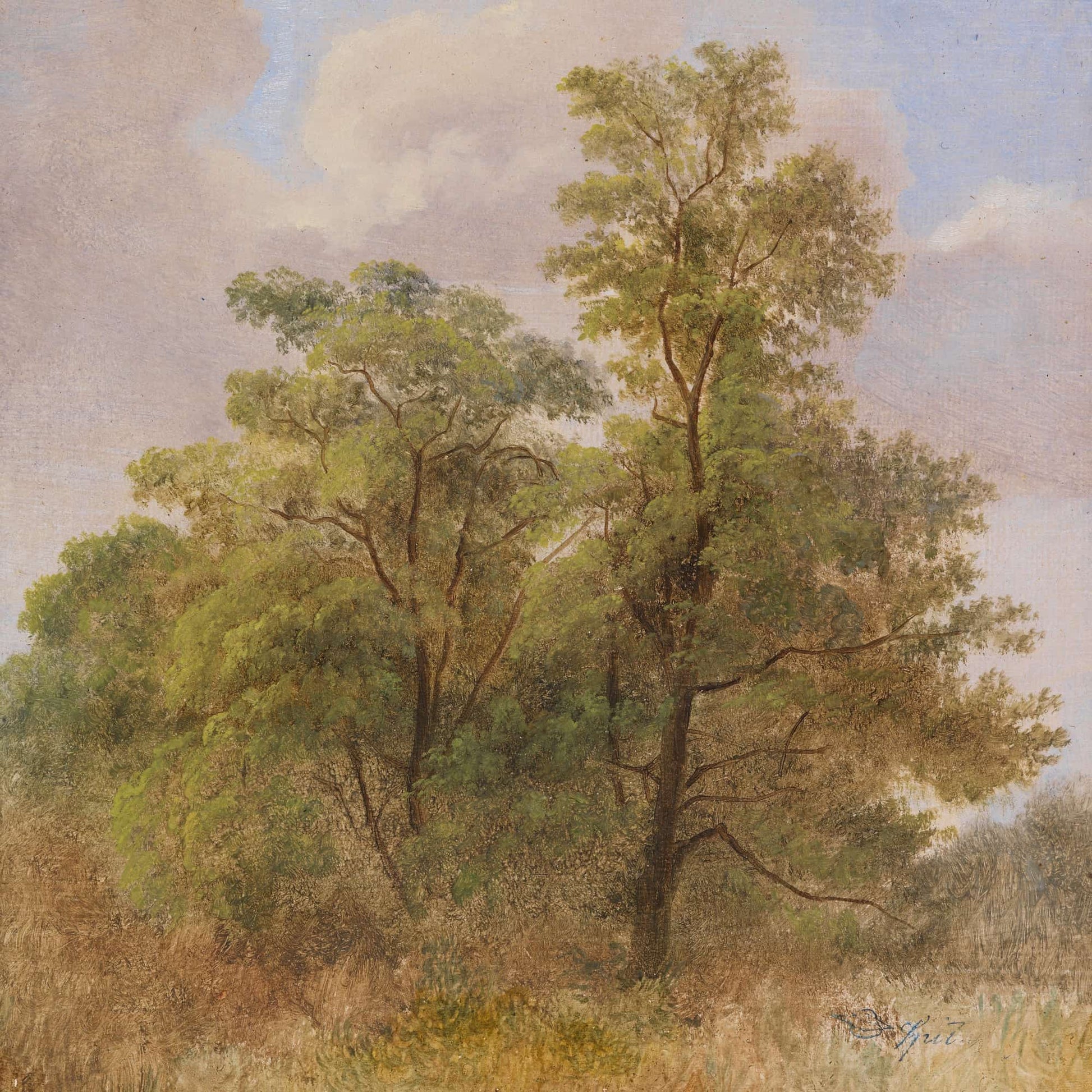 Baumstudie by Carl Spitzweg