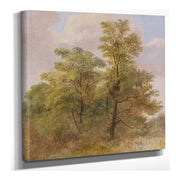 Baumstudie by Carl Spitzweg