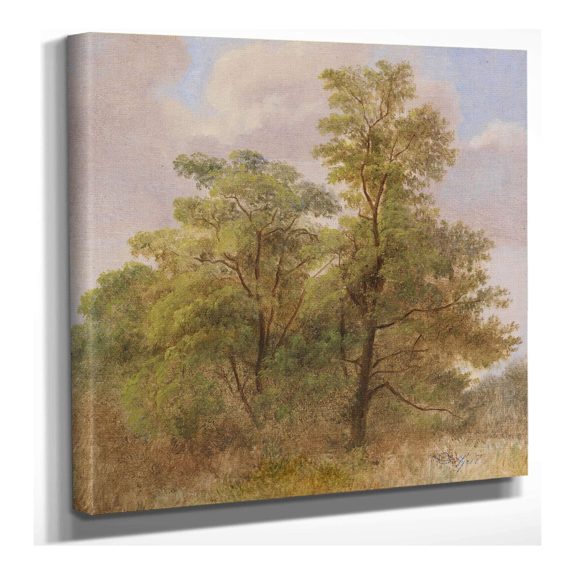Baumstudie by Carl Spitzweg