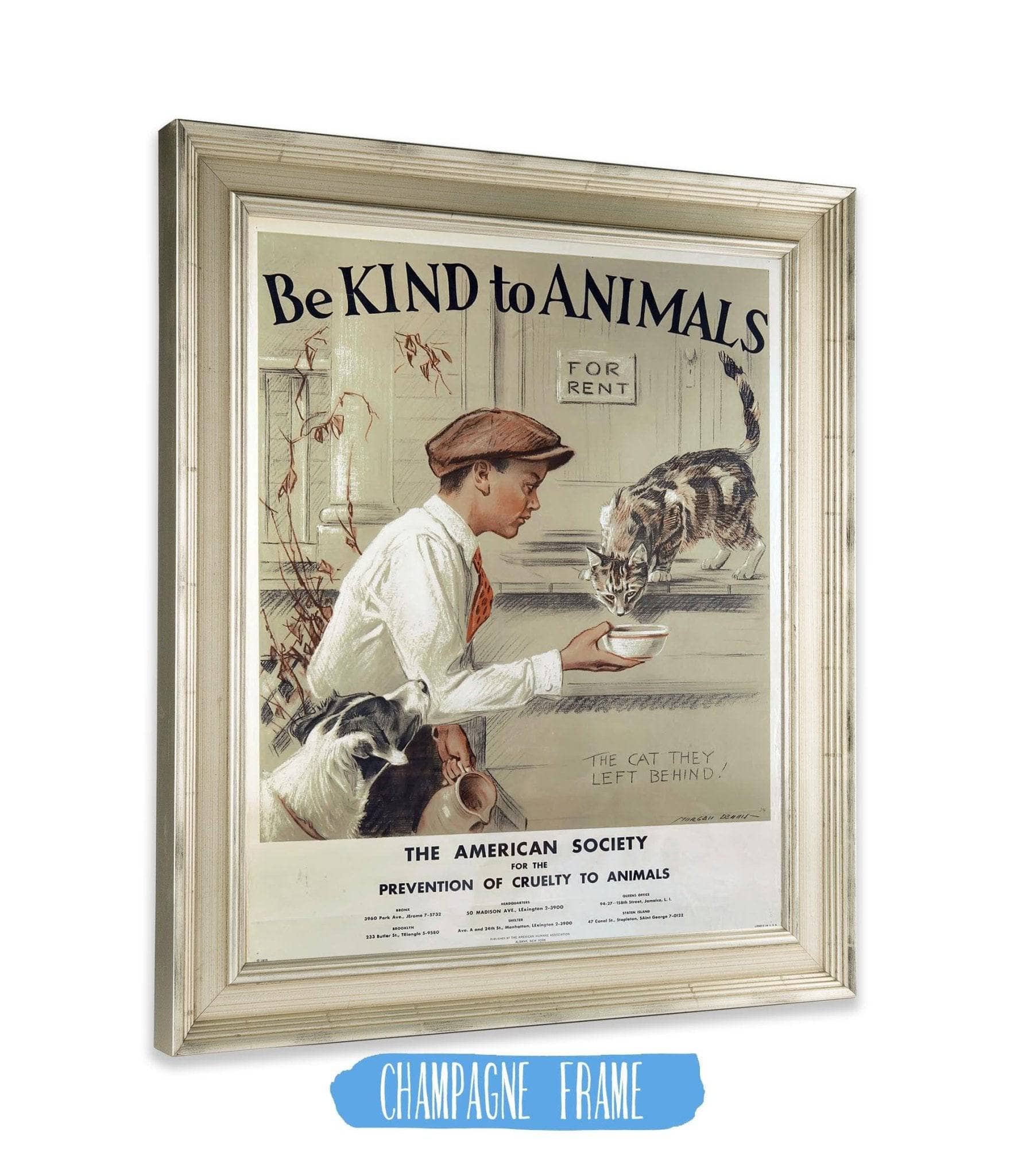 Be Kind to Animals The American Society