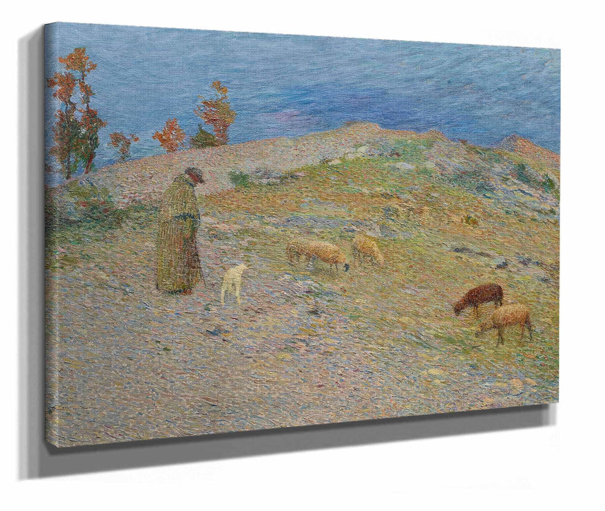 Berger Et Ses Moutons Dans Les Causses by Henri Martin