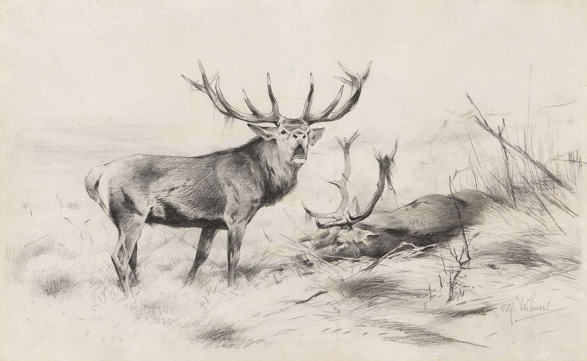 Besiegt Rothirsche by Wilhelm Kuhnert