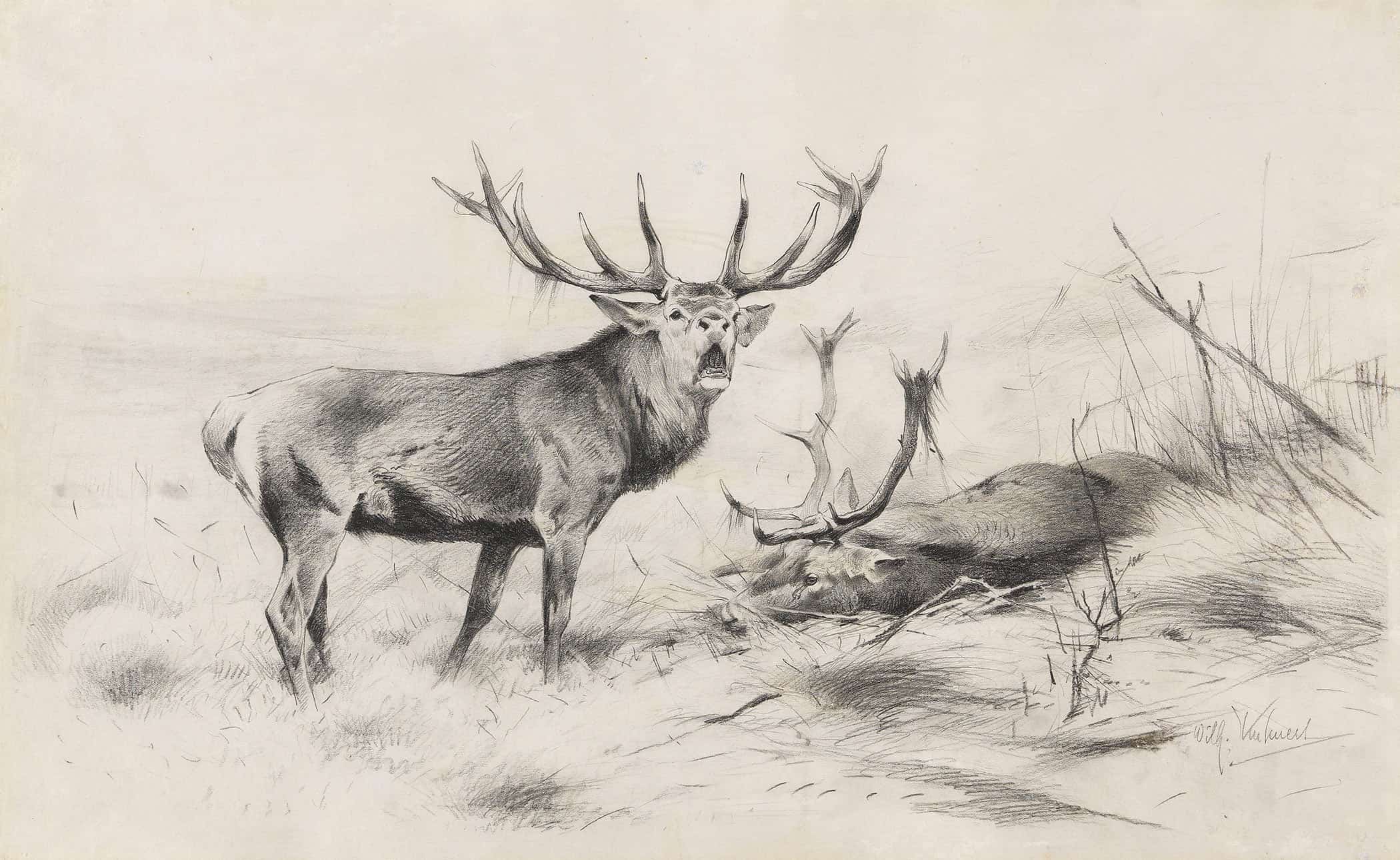Besiegt Rothirsche by Wilhelm Kuhnert