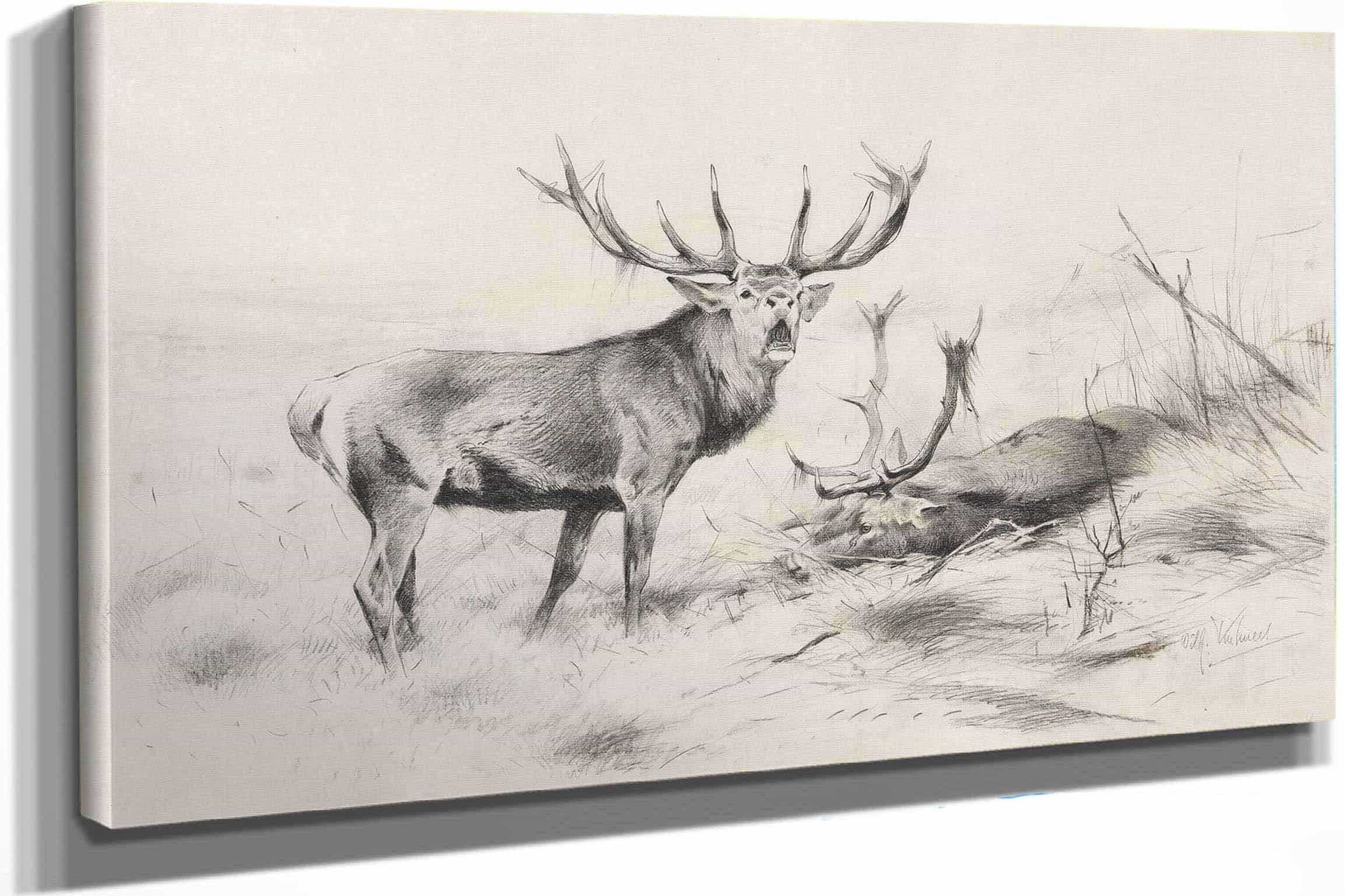 Besiegt Rothirsche by Wilhelm Kuhnert