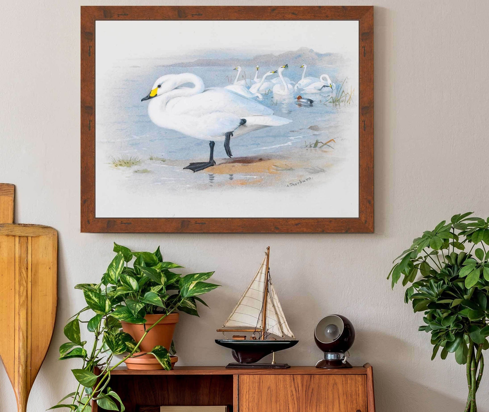 Bewicks Swan by Archibald Thorburn