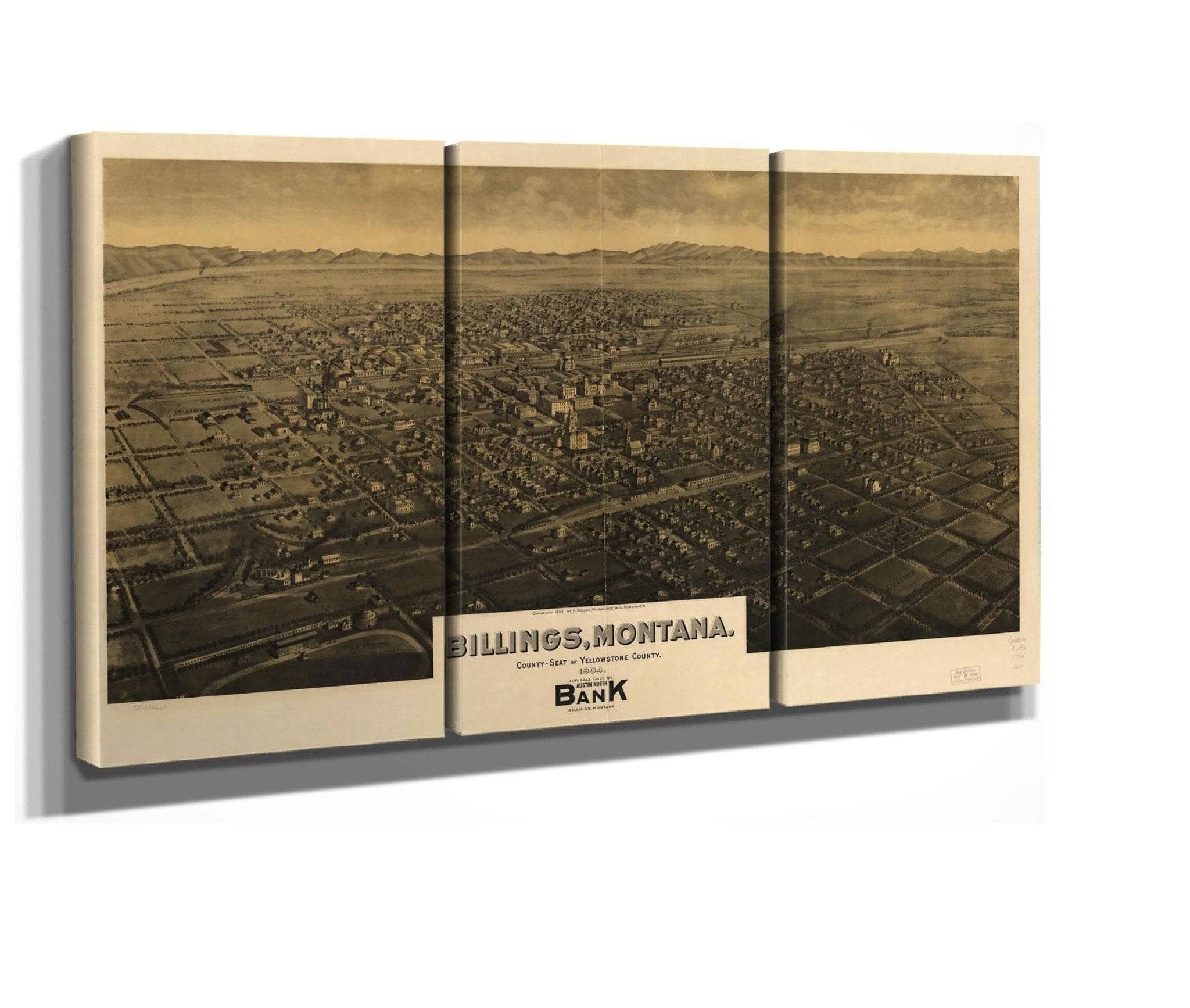 Billings Montana County Seat Of Yellowstone County 1904  State Of Montana