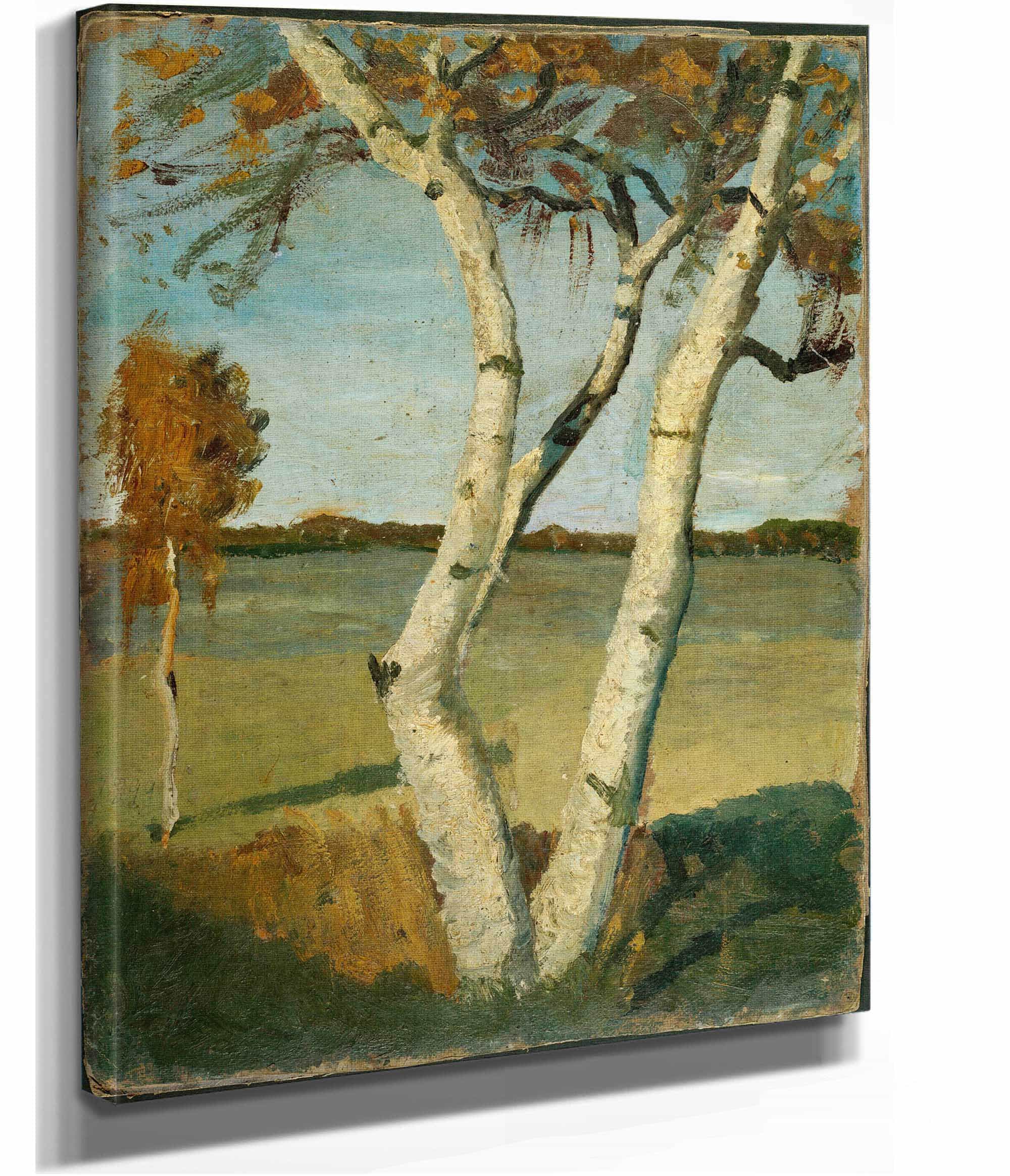 Birch Tree In A Landscape by Paula Modersohn Becker