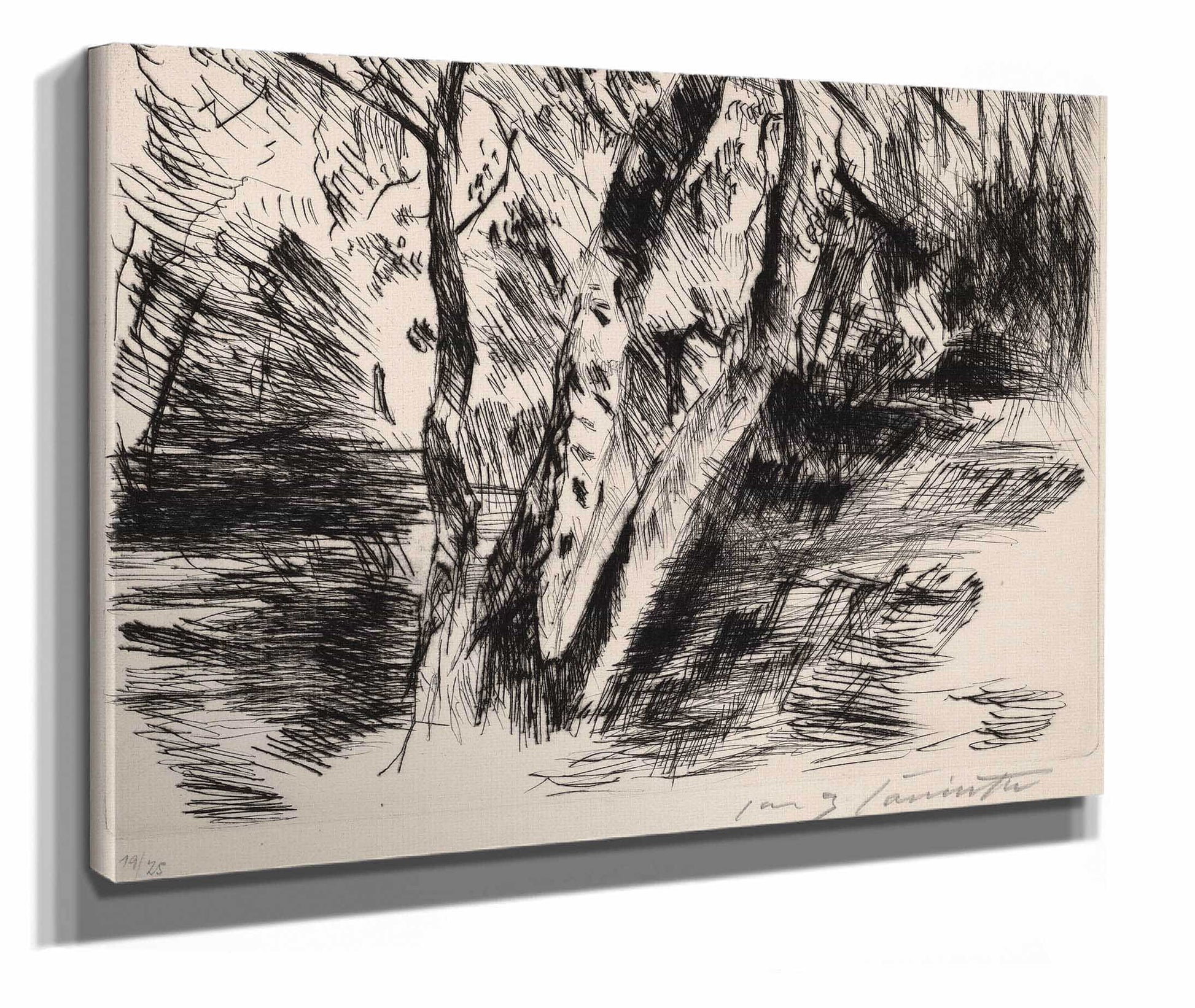 Birch Trees In The Tiergarten by Lovis Corinth