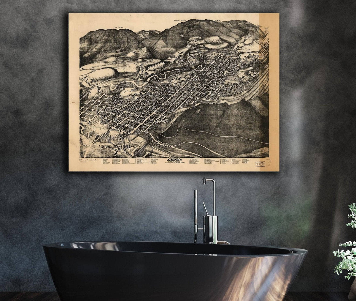 Birds Eye View Of Aspen Pitkin Co Colo 1893 State