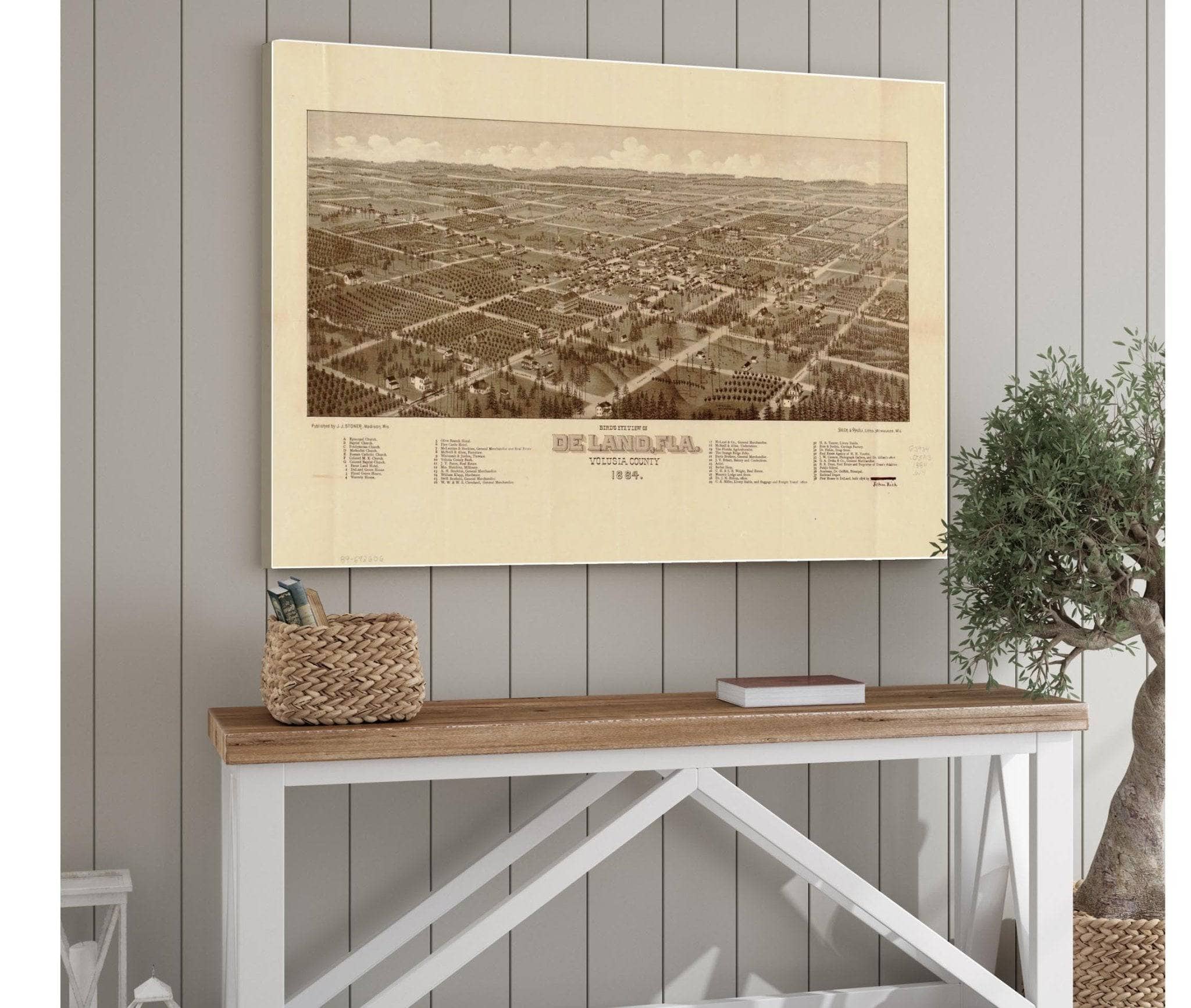 Birds Eye View Of De Land Fla Volusia County 1884  State Of Florida