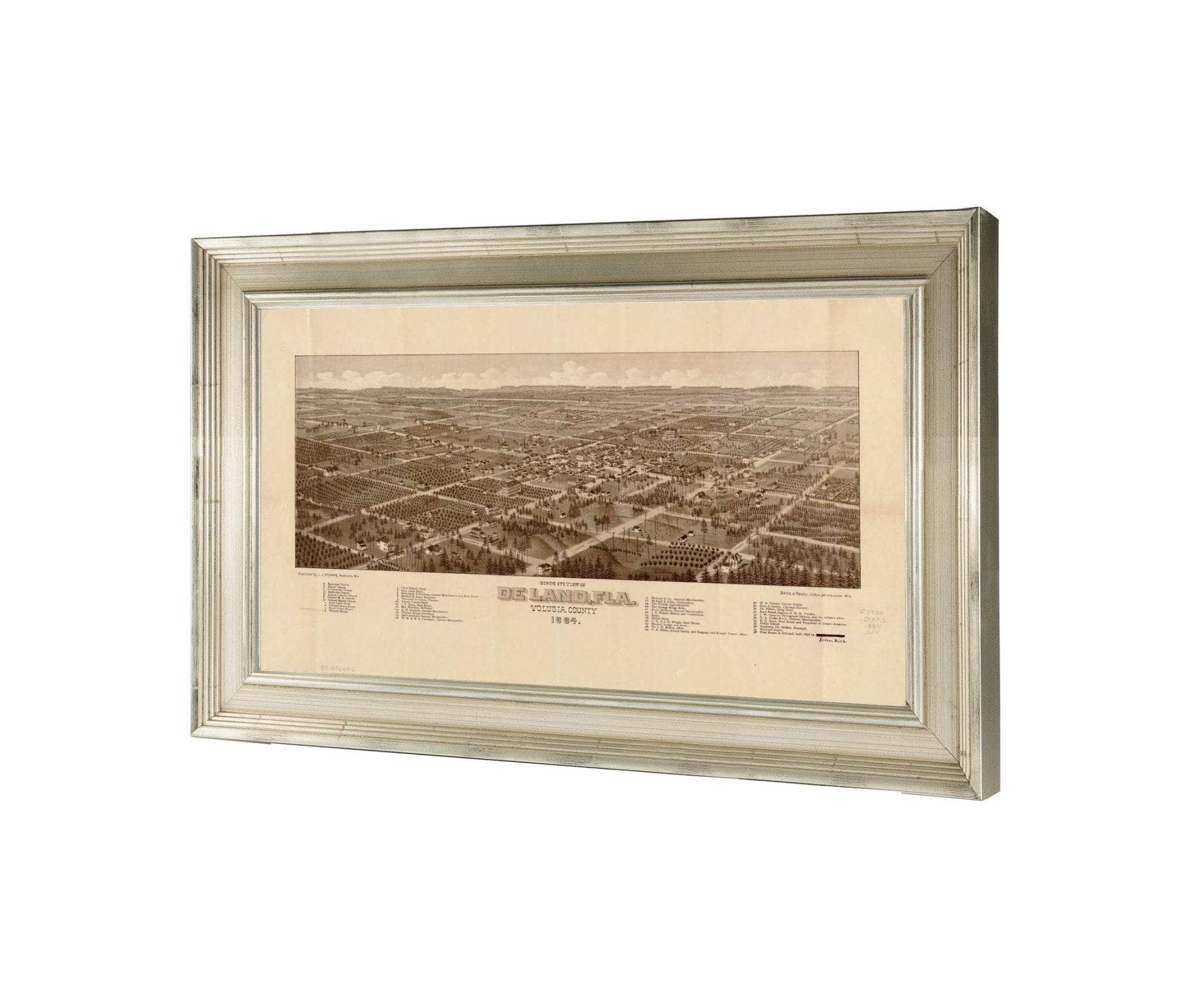 Birds Eye View Of De Land Fla Volusia County 1884  State Of Florida