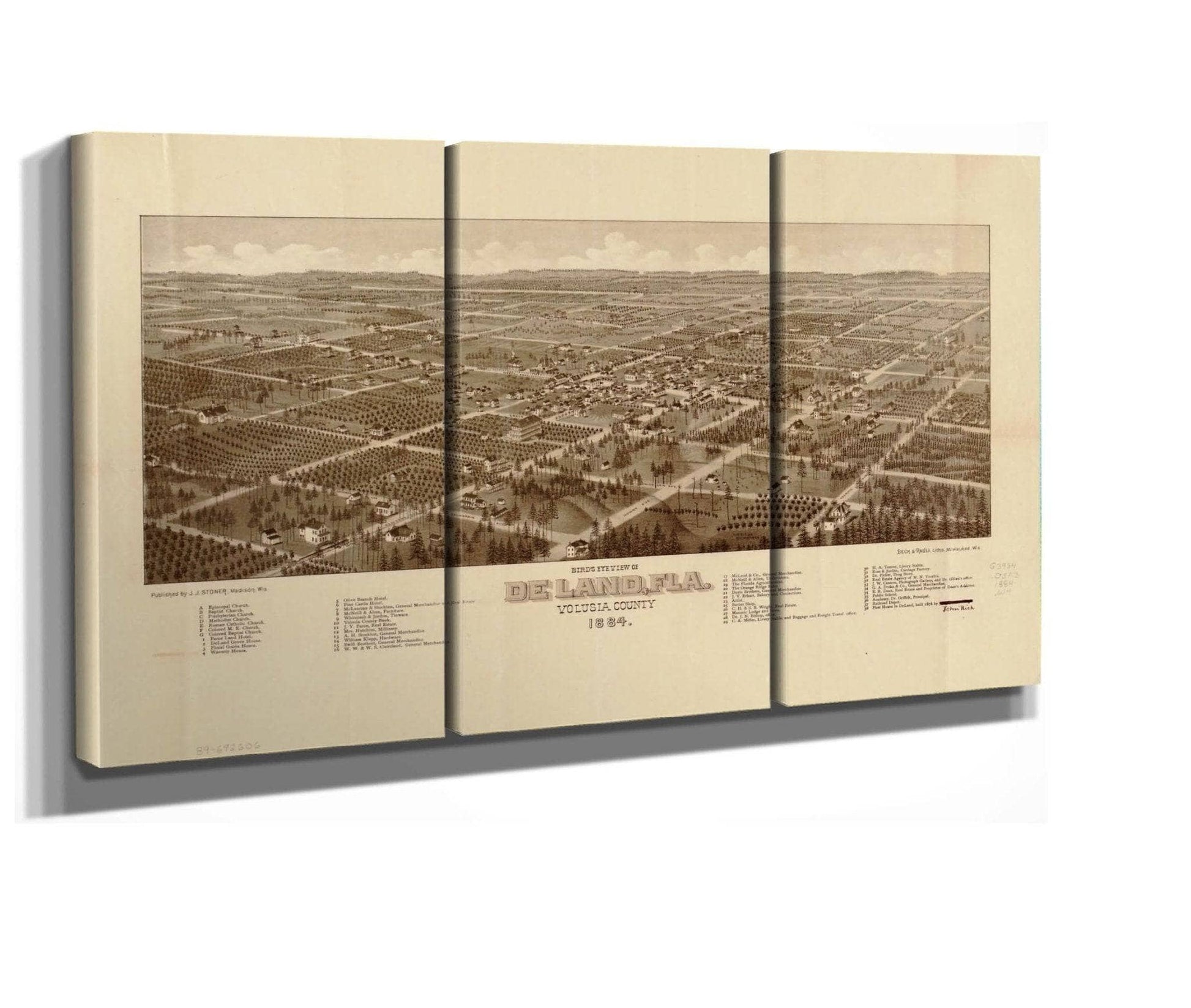 Birds Eye View Of De Land Fla Volusia County 1884  State Of Florida