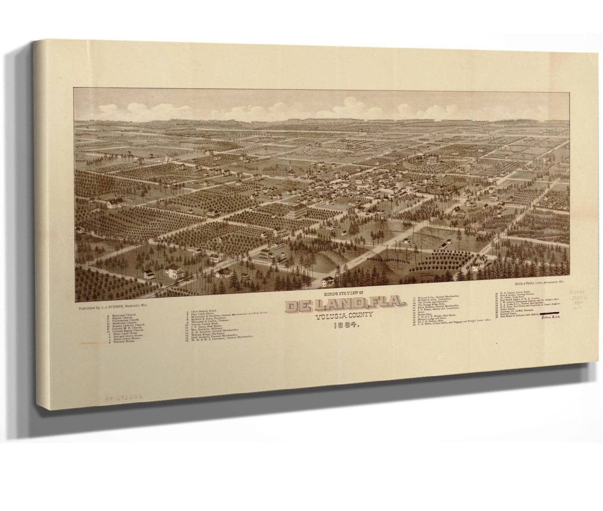 Birds Eye View Of De Land Fla Volusia County 1884  State Of Florida