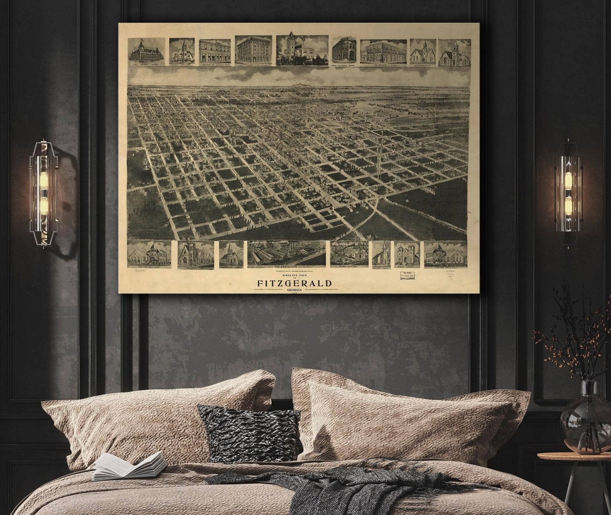 Birds Eye View Of Fitzgerald Georgia 1908 State of Georgia