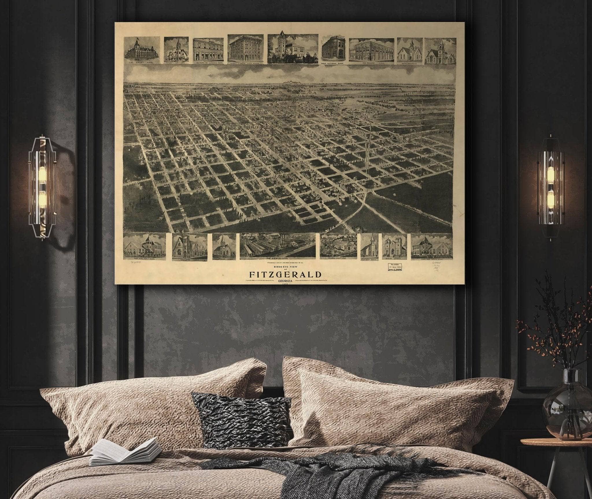 Birds Eye View Of Fitzgerald Georgia 1908 State of Georgia